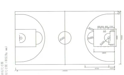 篮球场标准尺寸图片能告诉你的不止是运动场地大小-第2张图片-www.211178.com_果博福布斯