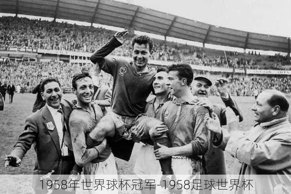 1958年世界杯是第几届 1958年的世界杯-第3张图片-www.211178.com_果博福布斯